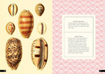 The Little Book of Shells: A Guide to Shells and the Amazing Creatures Who Make Them (Little Library of Natural History #5)
