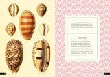 The Little Book of Shells: A Guide to Shells and the Amazing Creatures Who Make Them (Little Library of Natural History #5)