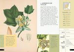 The Little Book of North American Trees: A Guide to North America's Evergreen and Deciduous Trees (Little Library of Natural History)