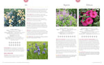 American Horticultural Society Essential Guide to Perennial Gardening: Techniques and Know-How for Planning, Planting, and Tending Low-Maintenance Perennials