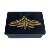 Sphinx Moth Black Soapstone Trinket Jewelry Box