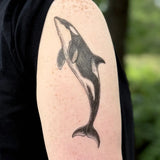 Orca Whale Temporary Tattoo