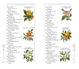 The Language and Sentiment of Flowers by James McCabe
