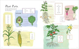 Julia Rothman's Farm Anatomy Activity Book: Match-Ups, Word Puzzles, Quizzes, Mazes, Projects, Secret Codes & Lots More