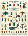 Insects 1,000 Piece Cavallini Puzzle