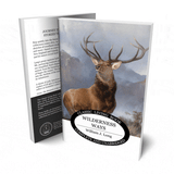 Wilderness Ways by William J. Long