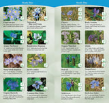 Wildflowers of the Midwest: Your Way to Easily Identify Wildflowers (Adventure Quick Guides)