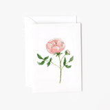 Garden Rose Stem Mini Enclosure Notecard (Emily Lex)