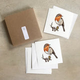 Birds / Cards Box Set . Robin