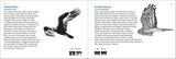 Bird Finder: Identifying Common Birds of Eastern North America (Nature Study Guides)