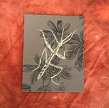 Stick Insect Print