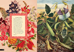 The Little Book of Insects: A Guide to Beetles, Flies, Ants, Bees, and More (Little Library of Natural History #2)