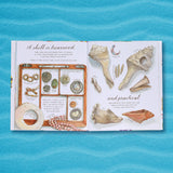 A Shell is Cozy by Dianna Hutts Aston, Illustrated by Sylvia Long