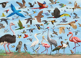 All the Birds 1,000 Piece Jigsaw Puzzle
