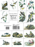 Audubon Birds of America Dover Coloring Book