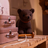 Pull-Along Raoul Bear Toy