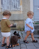 Pull-Along Raoul Bear Toy