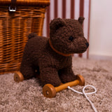 Pull-Along Raoul Bear Toy