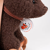 Pull-Along Raoul Bear Toy