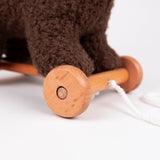 Pull-Along Raoul Bear Toy