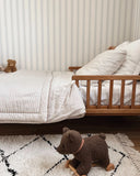 Pull-Along Raoul Bear Toy