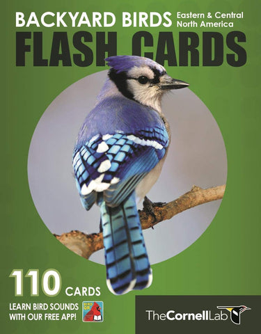 Backyard Birds Flash Cards - Eastern & Central North America (Cornell Lab of Ornithology)