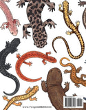 A Congress of Salamanders: An Educational Coloring Book by Alice Cantrell with Puzzles and a Few Fun Facts! (Twig & Moth)