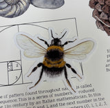 Bee Waterproof Sticker (Twig & Moth)