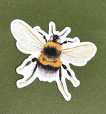 Bee Waterproof Sticker (Twig & Moth)