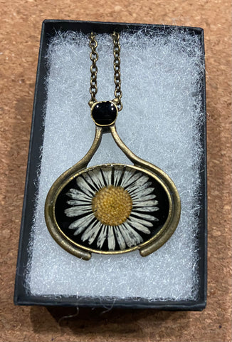 Pressed Flower Ornate Necklace, Fleabane on Black, Antique Bronze