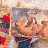 If I Was a Horse by Sophie Blackall