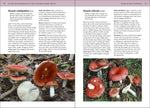 Mushrooms of the Northeastern United States and Eastern Canada (Timber Press Field Guide)