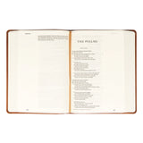ESV Large Print Journaling Bible: Sierra Theme