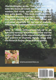 Sailors and Seababies: The Fairy Tales of Charles Kingsley by Charles Kingsley