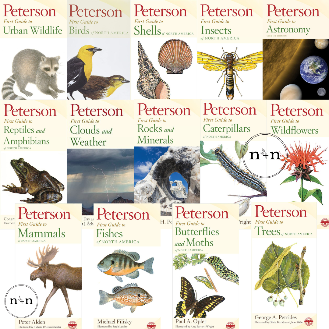 The First Guide Set Peterson First Guides - Full 14 Book Set – nature+nurture