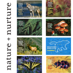 National Audubon Society Pocket Guide Series - 8 Book Set