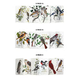 Birds and Trees of North America (Field Notes)