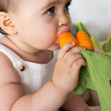 Cathy the Carrot Mini Doudou Baby Teether Toy