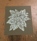 Mullein Print 12x12