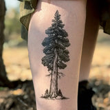 Redwood Temporary Tattoo