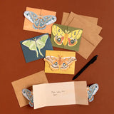 Luna Moths Fold-Out Greeting Card Box Set