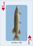 Fish of the Midwest Playing Cards (Nature's Wild Cards)