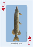 Fish of the Midwest Playing Cards (Nature's Wild Cards)