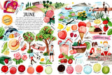 The Year in Colors (Nature's Wonderful Colors #4) by Jana Sedláčková