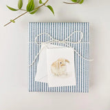 Bunny Mini Enclosure Notecard by Emily Lex
