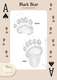 Animal Tracks of the Midwest Playing Cards