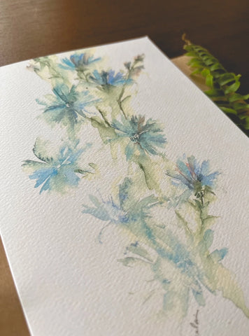 Chicory Watercolor A7 Greeting Card