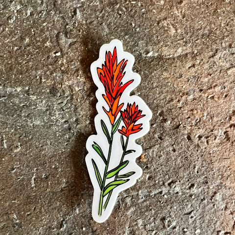 Indian Paintbrush Sticker