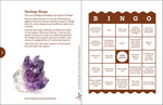 Rocks and Minerals Backyard Workbook: Hands-on Projects, Quizzes, and Activities For Kids by Dan r. Lynch