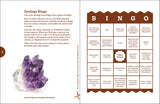 Rocks and Minerals Backyard Workbook: Hands-on Projects, Quizzes, and Activities For Kids by Dan r. Lynch